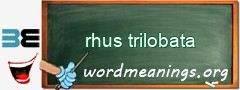 WordMeaning blackboard for rhus trilobata